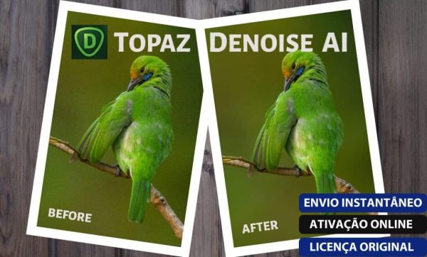 Software: Duas imagens rotuladas Antes e Depois retratam um pássaro verde em um galho, com a imagem Depois aparecendo mais nítida. O texto diz "Topaz DeNoise AI 3.1.2" apresentando Envio Instantâneo, Ativação Online e Licença Original contra um fundo de madeira. Considere comprar este software para maior clareza de fotos.