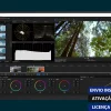 Software: Uma tela de computador exibe o VEGAS Pro 20 com uma interface que oferece uma variedade de ferramentas de edição e opções de gradação de cores. A prévia mostra um vídeo de árvores altas sob um céu limpo. Os selos portugueses enfatizam a entrega instantânea e uma licença original, ideal para quem procura comprar software de uma loja de software.